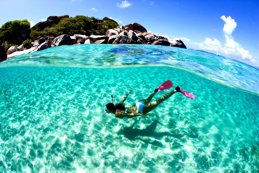 woman diving into sea